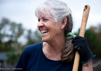 Carol Ann's Chickens